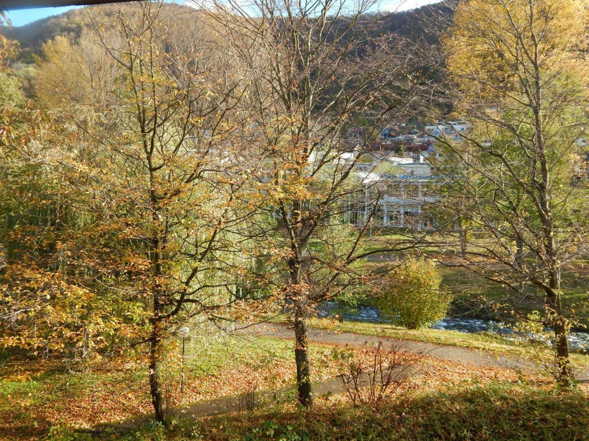 Free Apartment - Bei Den Thermen Bad Urach Εξωτερικό φωτογραφία