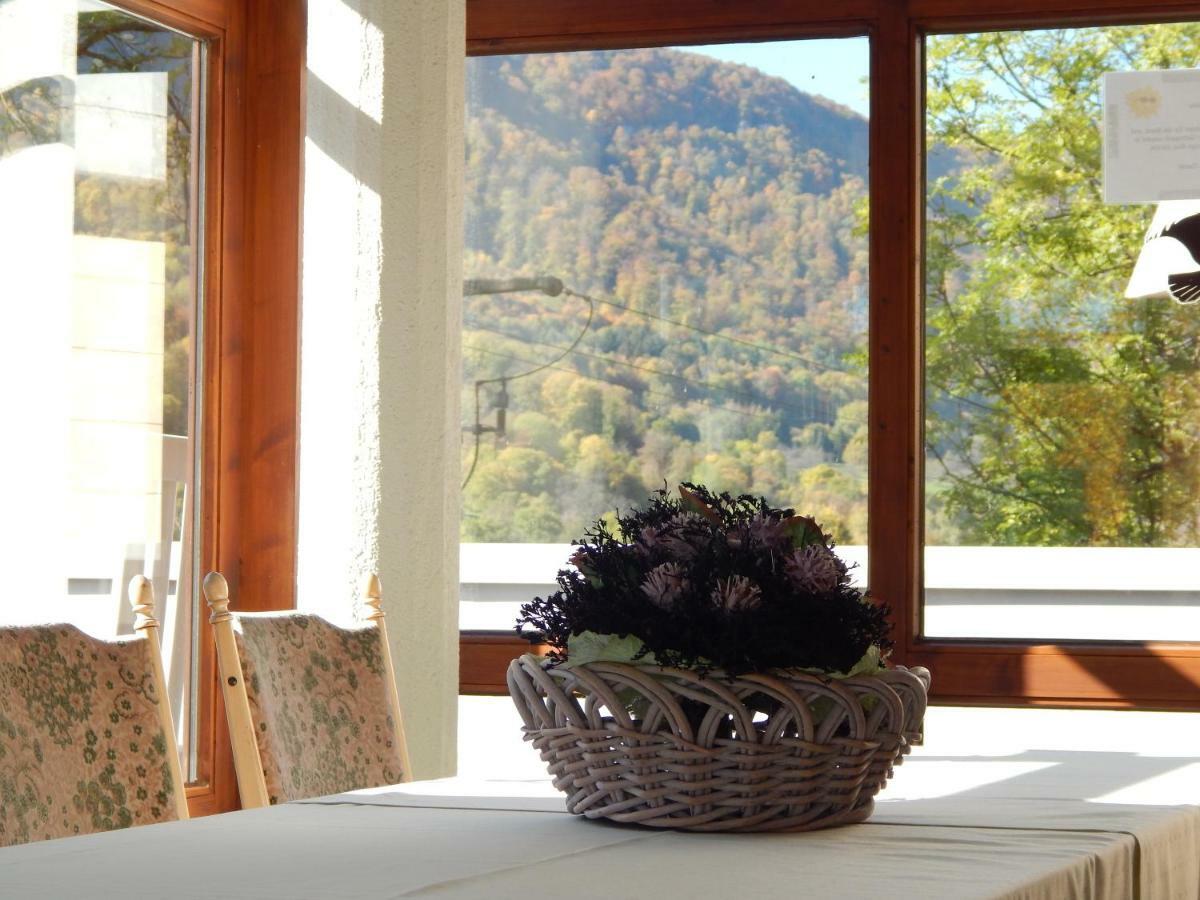 Free Apartment - Bei Den Thermen Bad Urach Εξωτερικό φωτογραφία