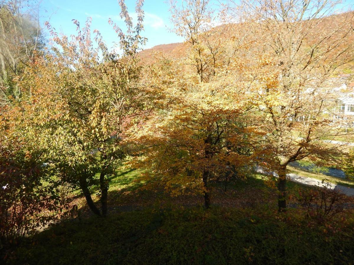 Free Apartment - Bei Den Thermen Bad Urach Εξωτερικό φωτογραφία